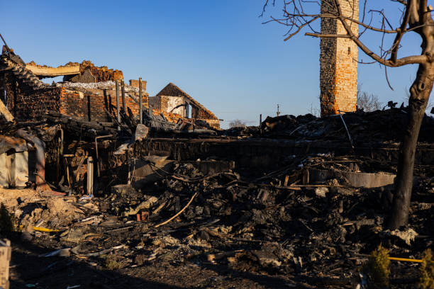Reliable Content Restoration contractor in Fort Myers Beach, FL by Meridian Smoke Damage